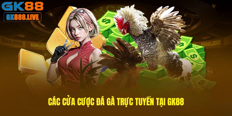 Các cửa cược Đá gà trực tuyến tại GK88 Các cửa cược Đá gà trực tuyến tại GK88