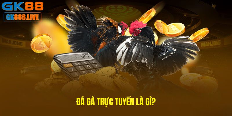 Tìm hiểu đá gà trực tuyến là gì? Tìm hiểu đá gà trực tuyến là gì?